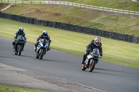 anglesey;brands-hatch;cadwell-park;croft;donington-park;enduro-digital-images;event-digital-images;eventdigitalimages;mallory;no-limits;oulton-park;peter-wileman-photography;racing-digital-images;silverstone;snetterton;trackday-digital-images;trackday-photos;vmcc-banbury-run;welsh-2-day-enduro